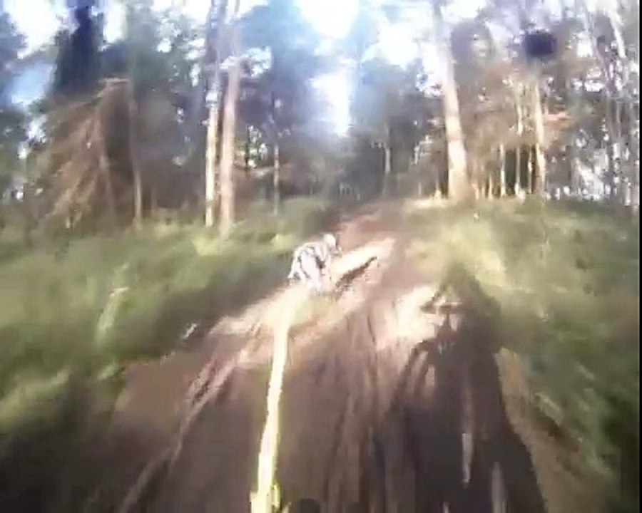 Championnats d'Europe de canicross 2012