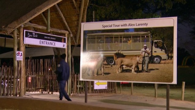 Une touriste américaine tuée par un lion dans un parc animalier près de Johannesburg