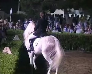 Chevaux:spectacle équestre, Caballos: espectáculo ecuestre