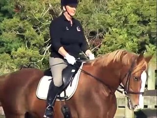 Interview with Rachel Stock