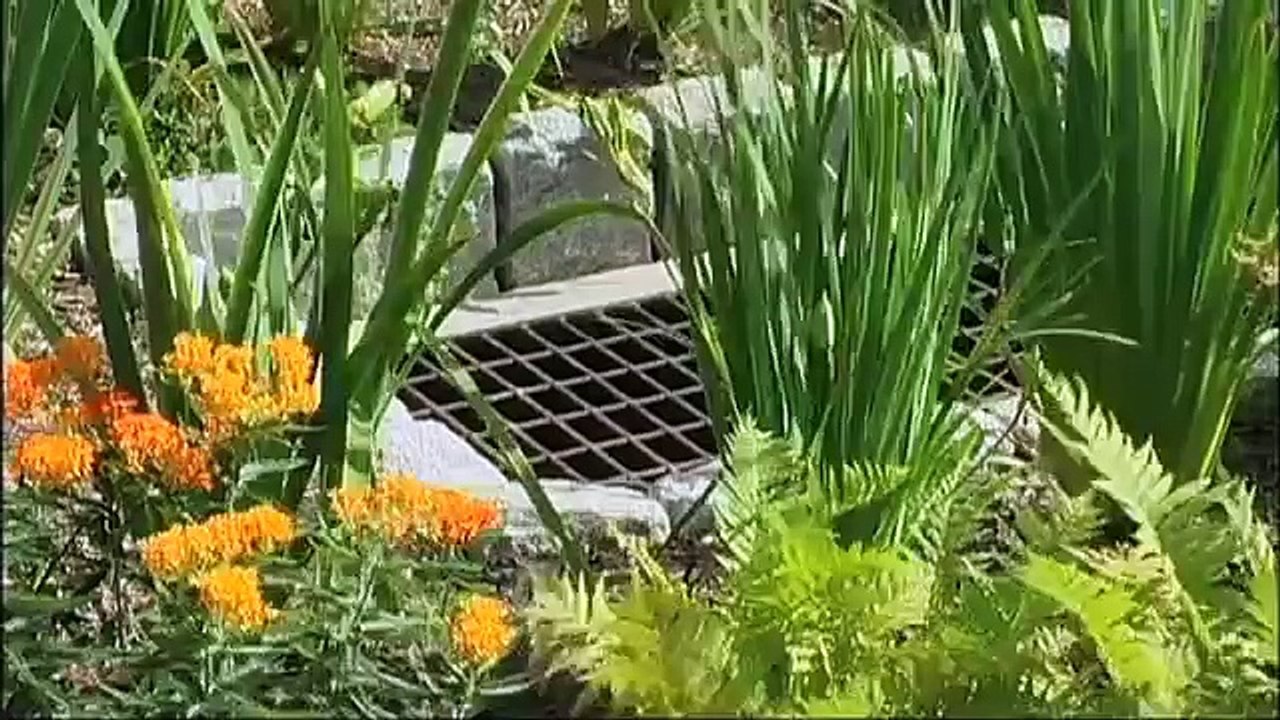 Capturing Rainwater is Good Business Practice