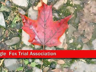 Canadian Beagle Fox Trial Assoc. 2006