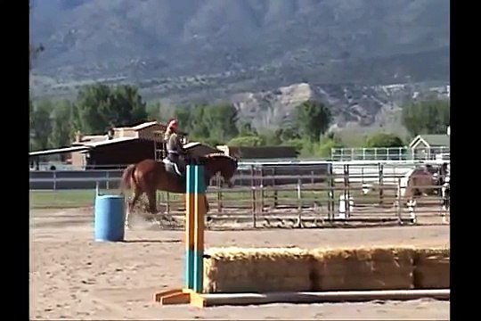 Parelli Level 4 Finesse Passed 4+++