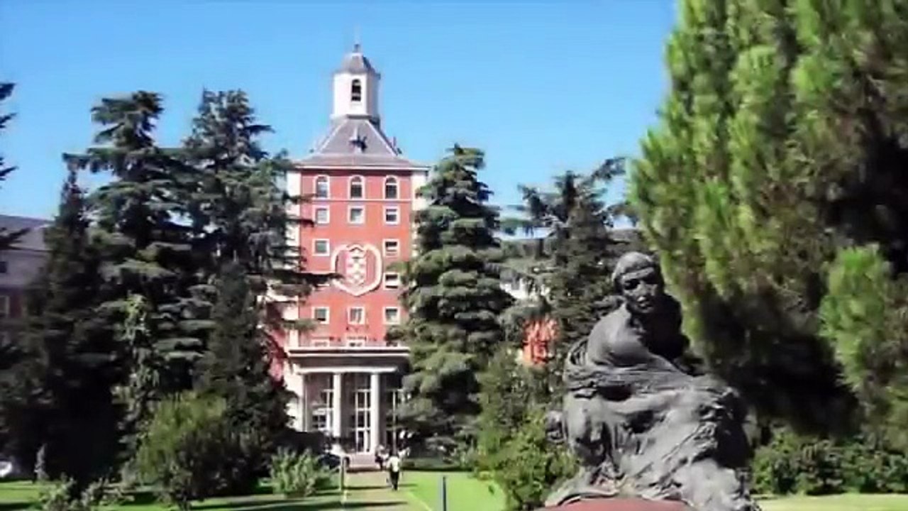 Molecular biologist explains how THC kills cancer cells