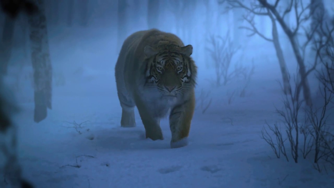 La Bataille de la Montagne du Tigre - Extrait "Pris au piège" [Full HD] (Tsui Hark)