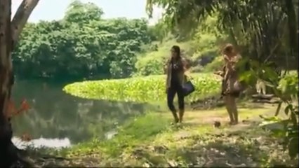 Monster Crocodile Attacks on Women and Killed | Wild Animal Attacks