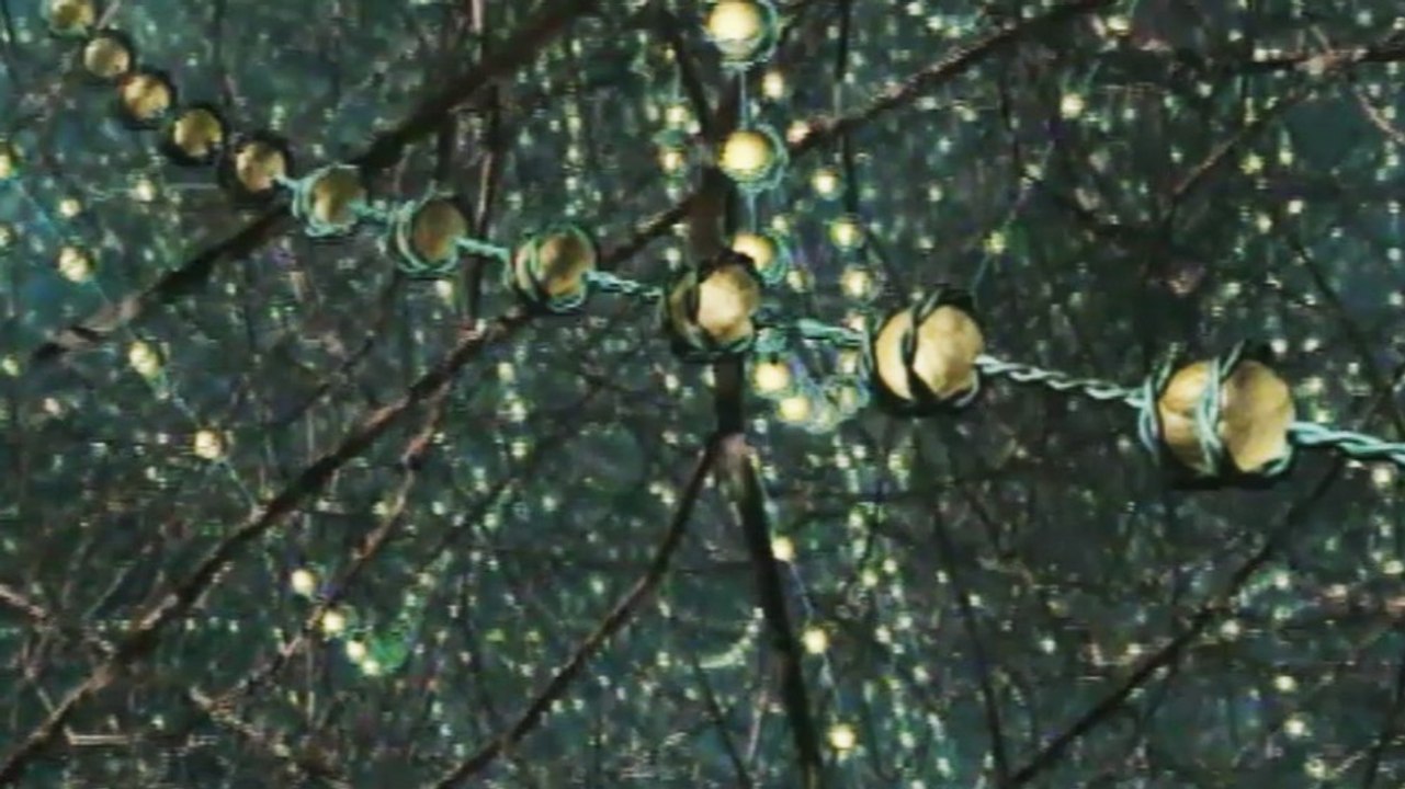 L’ADN