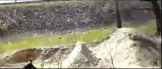 Compassionate Cameraman Records Fail