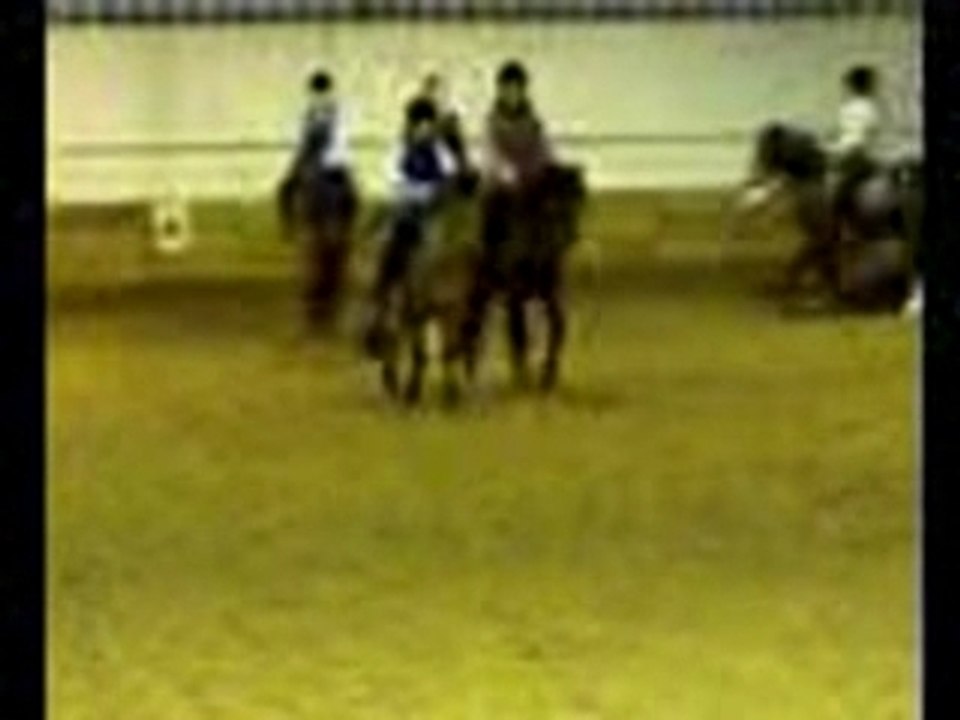 carousel et rodéo
