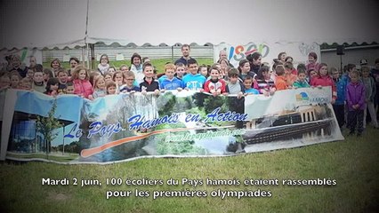 Pays hamois : 100 élèves aux premières olympiades
