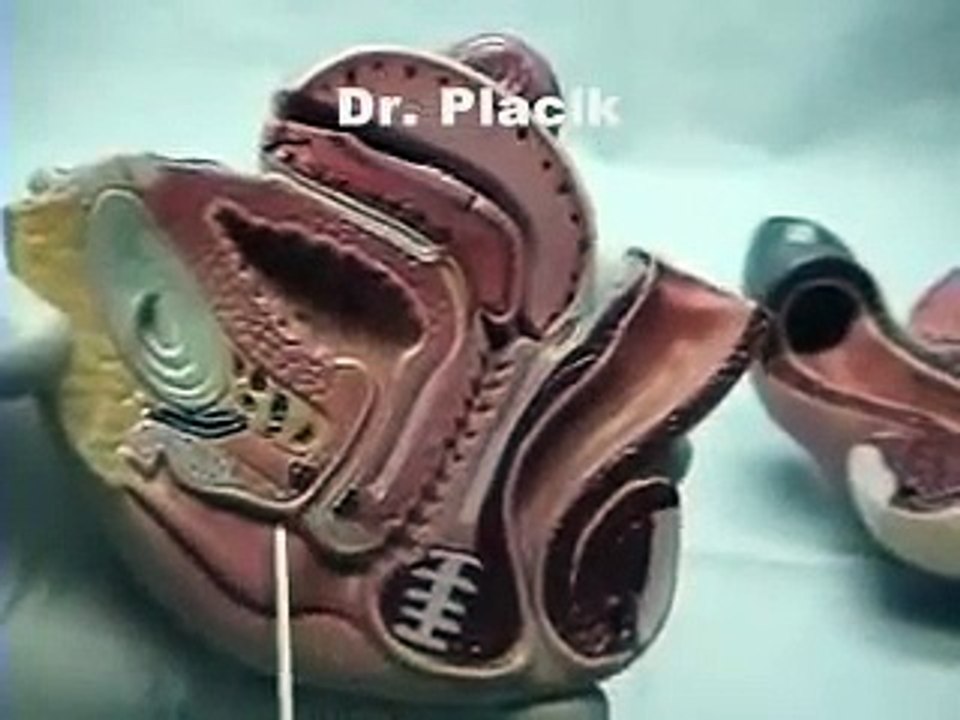 Anatomy of the G spot & G-shot - video Dailymotion
