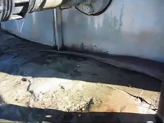 Worlds Largest Snake Found Dead