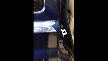 Arkadaşını arabadan indiren köpek