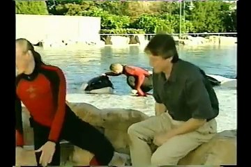 Bruce Blitz How to DRAW a WHALE with Dawn Brancheau