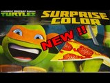 Teenage Mutant Ninja Turtles Surprise Bag with Coloring Book, Markers , Puzzles and a Balloon