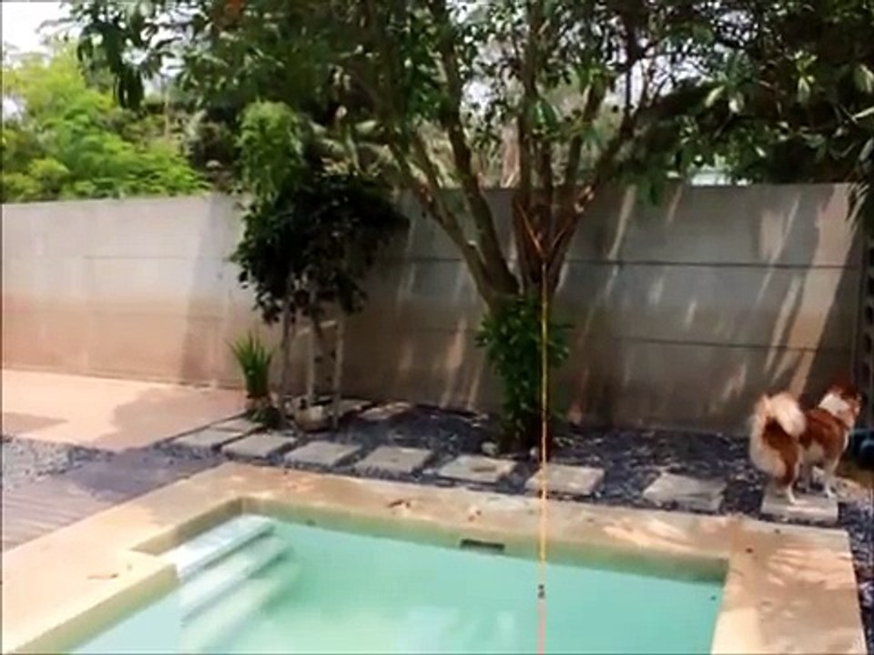 DIY Endless pool in 2$