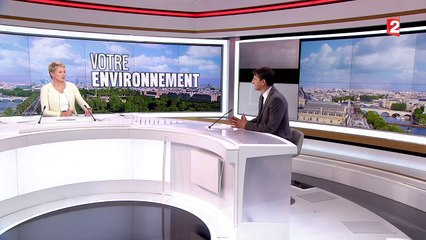 Maladies, allergies, canicule... les conséquences du réchauffement climatique