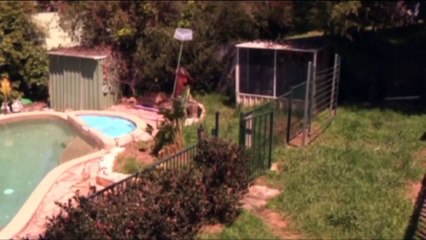 OMG Bigfoot Caught on Tape!