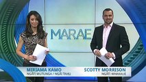 Māori in Aviation: More Māori take to the sky