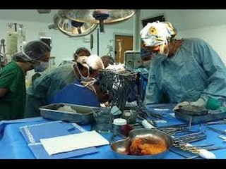 Renacer con un latido prestado, un nuevo milagro médico, esta vez en Córdoba