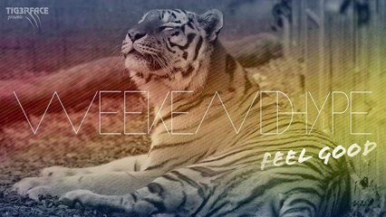 Capital Cities - Kangaroo Court (Forever Kid Remix)