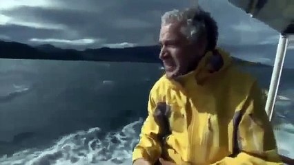 Patagonian Mountains - Animals at Night