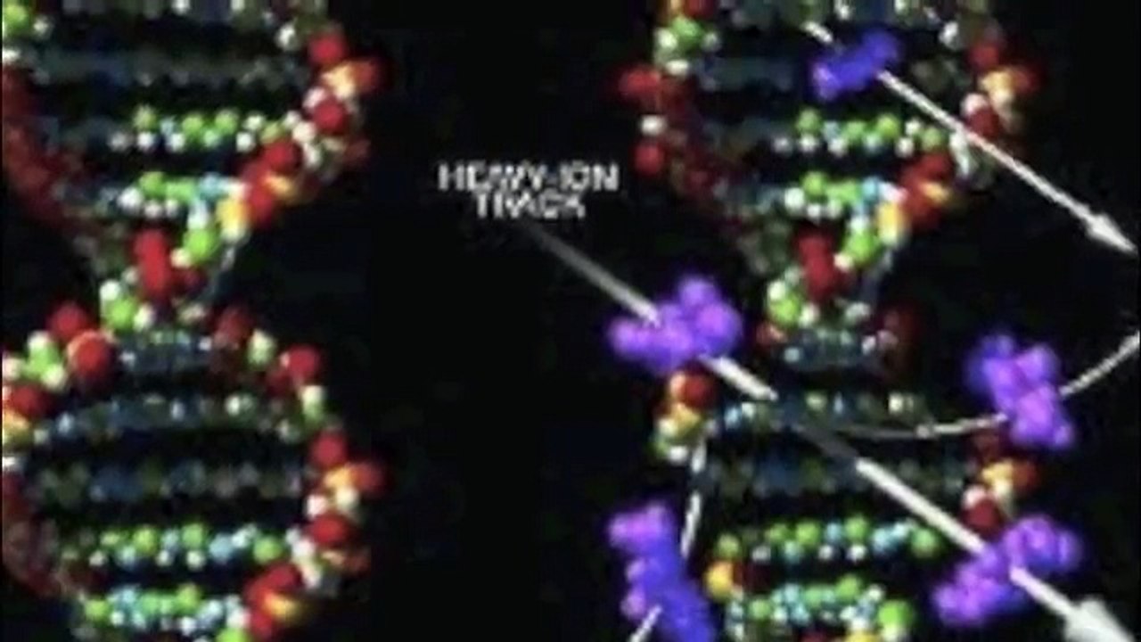DNA Replication Song