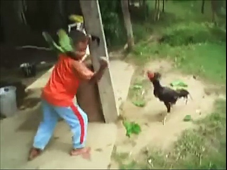 Funny video