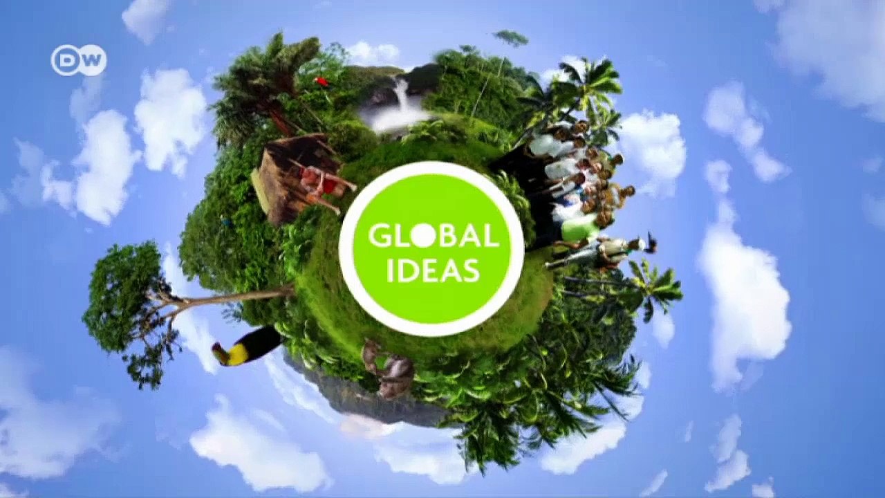 Bio-garnelen dank mangrovenschutz | global 3000