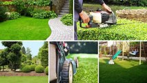 Degree Lawn: The Experts In Lawn Care In Ohio