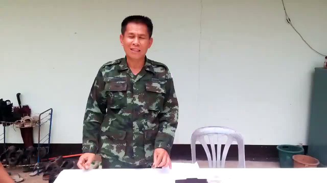 Des parasites affectent les insectes