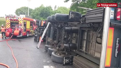 Landivisiau. Un camion de porcs se renverse