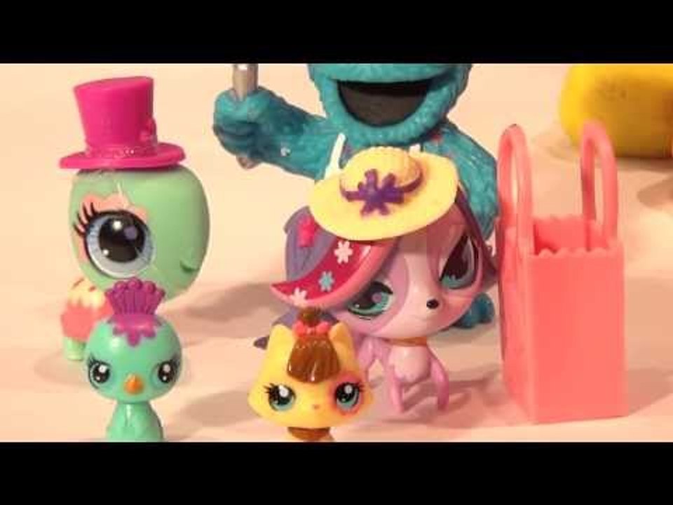 Play Doh Surprise Eggs, 8 Littlest Pet Shop Surprise Eggs with the Cookie Monster Chef lol  cool