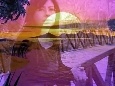 Acının Rengi (İlkay Akkaya)