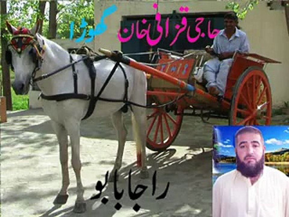 raja horse race