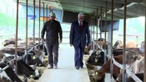 Turkish agriculture feels economic pain ahead of polls