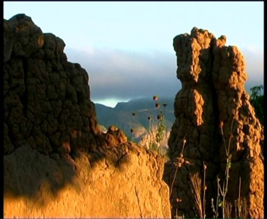 tsiakoraka tamboho