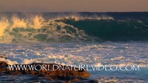 Nature DVD - Ocean Waves with Natural Sea Sounds