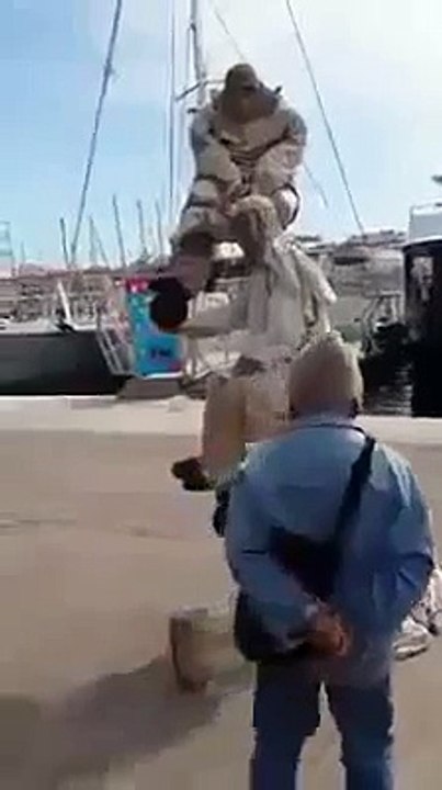 Hows that possible_ - Bizarre _ Weird Videos