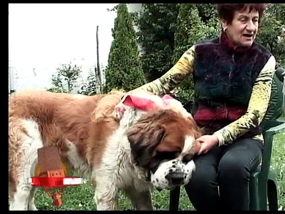 Mix Actual 02.06.2015