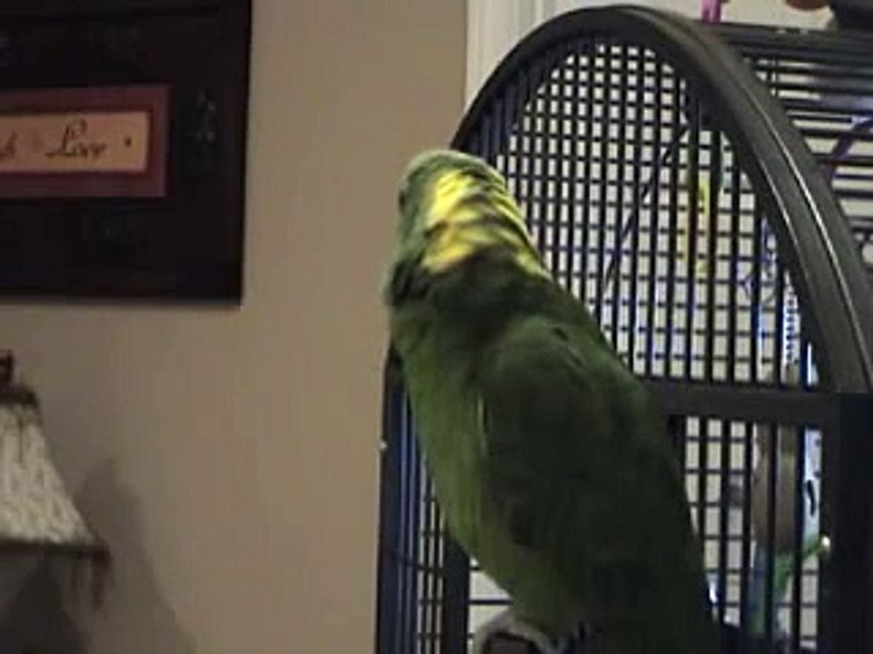 Boozle singing You Are My Sunshine