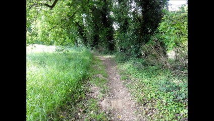 2015-06-02 JUGON un écrin de verdure