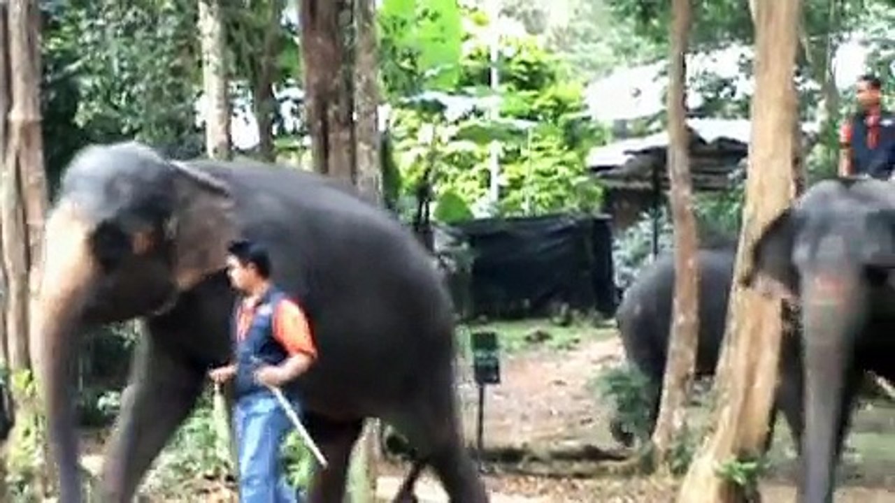 ANIMALS AT ZOO MELAKA