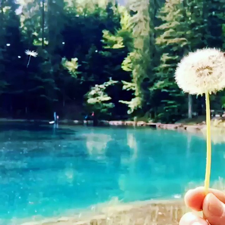 beautiful