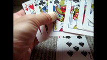 miracle easy card magic tricks(카드 마술 해법)ビジター＆コレクターマジック解説編