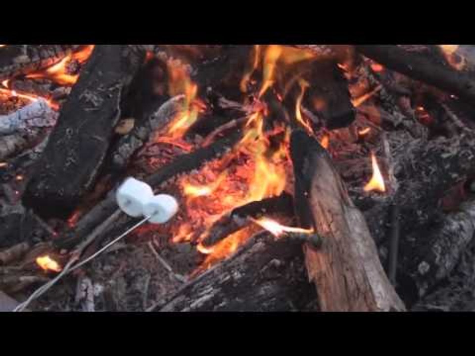Bonfire Roasting Marshmellows