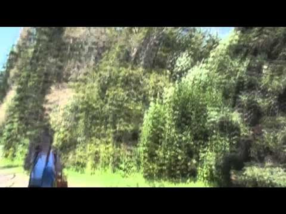 Roller Coaster Scary Ride