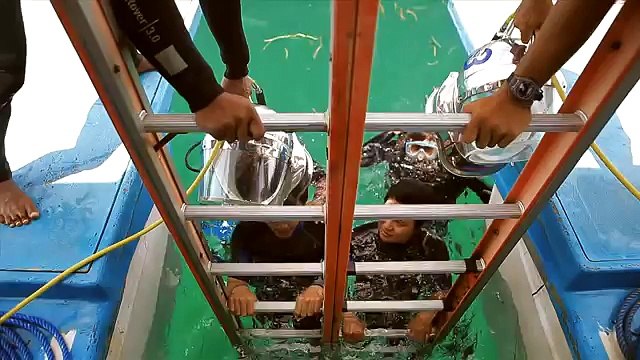 Компания Arrow Holiday: отзывы туристов о Бали