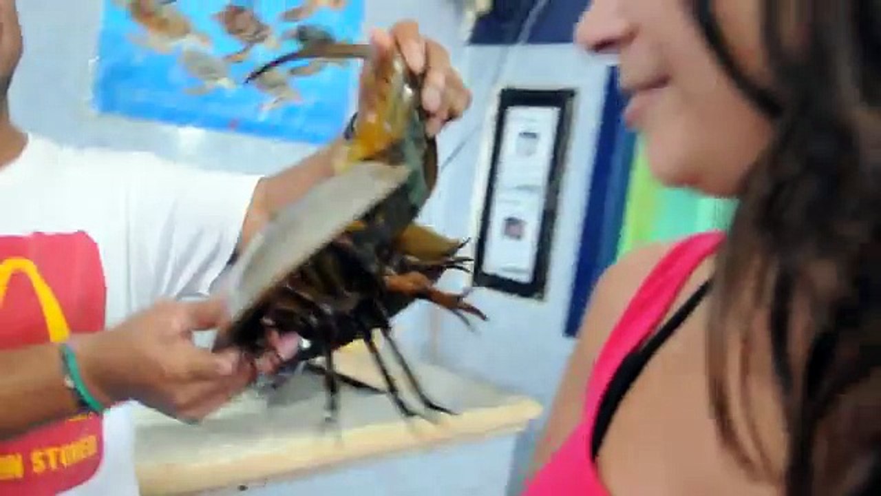 Horseshoe Crab getting on Yulia - Tortugranja, Isla Mujeres, Mexico