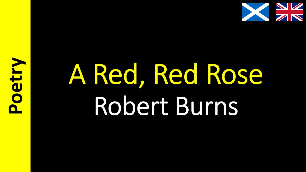 Robert Burns - A Red, Red Rose